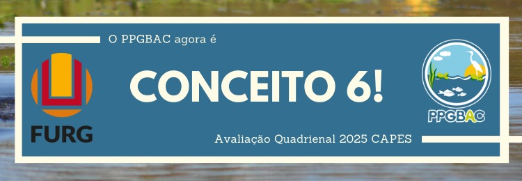 Conceito 6 CAPES
